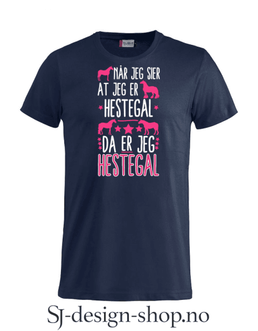 Hovedbilde Hestegal